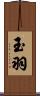 玉羽 Scroll