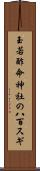 玉若酢命神社の八百スギ Scroll