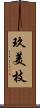 玖美枝 Scroll