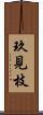 玖見枝 Scroll
