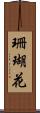 珊瑚花 Scroll