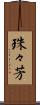 珠々芳 Scroll