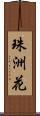 珠洲花 Scroll