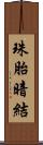 珠胎暗結 Scroll