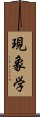 現象学 Scroll