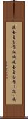 現金自動預払機 Scroll