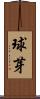 球芽 Scroll