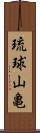 琉球山亀 Scroll