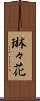 琳々花 Scroll
