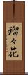 瑠々花 Scroll
