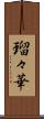 瑠々華 Scroll