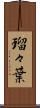 瑠々葉 Scroll