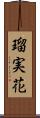 瑠実花 Scroll