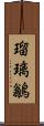 瑠璃鶲 Scroll