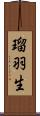 瑠羽生 Scroll