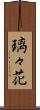 璃々花 Scroll