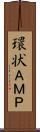 環状ＡＭＰ Scroll