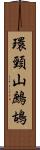 環頸山鷓鴣 Scroll