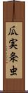 瓜実条虫 Scroll