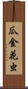瓜金花虫 Scroll