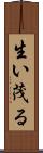 生い茂る Scroll