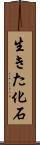 生きた化石 Scroll