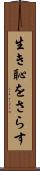 生き恥をさらす Scroll