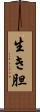 生き胆 Scroll