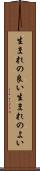 生まれの良い Scroll