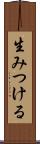生みつける Scroll
