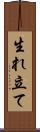 生れ立て Scroll