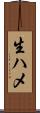 生ハメ Scroll