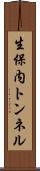 生保内トンネル Scroll