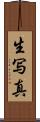 生写真 Scroll
