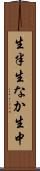 生半 Scroll