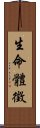 生命體徵 Scroll