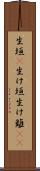 生垣(P) Scroll