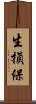 生損保 Scroll