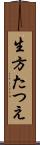生方たつえ Scroll