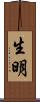 生明 Scroll