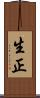 生正 Scroll
