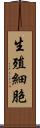 生殖細胞 Scroll