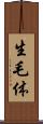 生毛体 Scroll