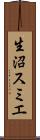 生沼スミエ Scroll