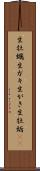 生牡蠣 Scroll
