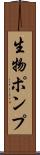 生物ポンプ Scroll