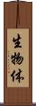 生物体 Scroll