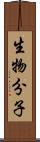 生物分子 Scroll