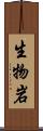 生物岩 Scroll