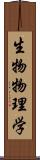 生物物理学 Scroll